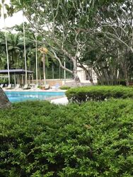 Hilltop Grove (D23), Condominium #544251721
